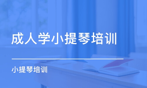 苏州成人学小提琴培训班