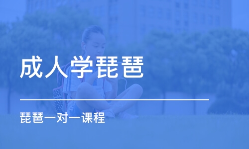 北京成人学琵琶