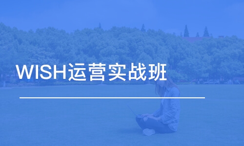 深圳WISH运营实战班