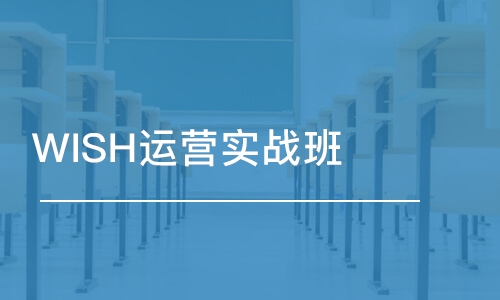 WISH运营实战班