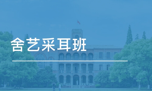 郑州采耳耳疗学习