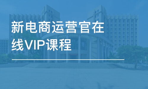 石家庄达内·新电商运营官在线VIP课程