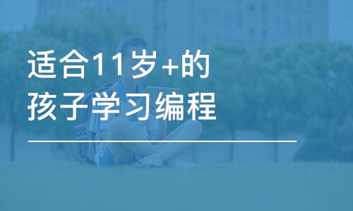 適合11歲+的孩子學習編程