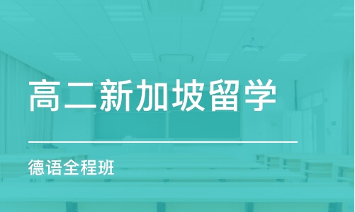 天津高二新加坡留学