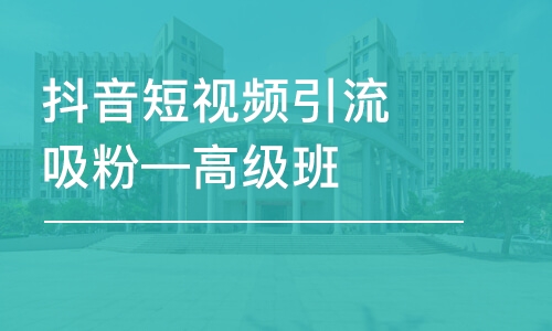 沈阳抖音短视频引流吸粉—高级班