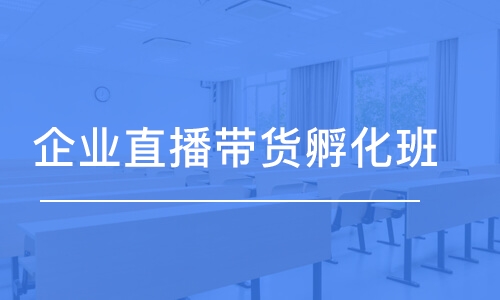 企業(yè)直播帶貨孵化班