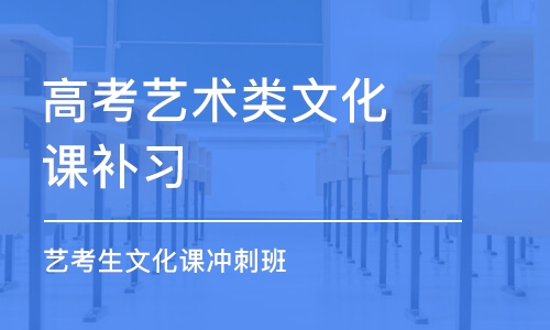 武汉高考艺术类文化课补习