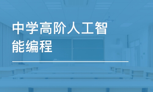 深圳童程童美·中學高階人工智能編程