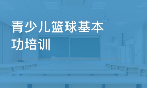 武漢東方啟明星·青少兒籃球基本功培訓(xùn)