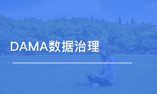 上海DAMA数据治理