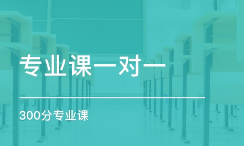 蘇州專業(yè)課一對一 300分專業(yè)課