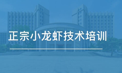 成都正宗小龍蝦技術培訓