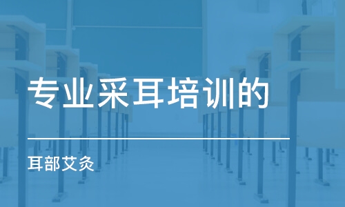 合肥專業(yè)采耳培訓機構(gòu)的