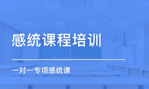 天津感統(tǒng)課程培訓