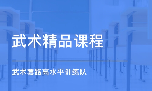 北京武術精品課程