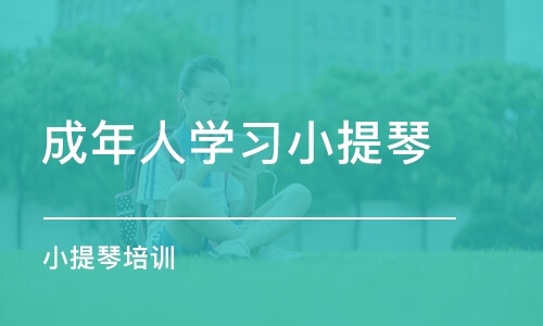 深圳成年人学习小提琴