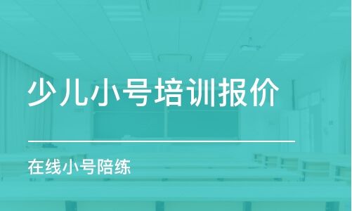 北京少儿小号培训报价