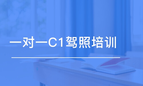 寧波一對一C1駕照培訓(xùn)