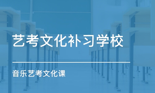 武汉艺考文化补习学校