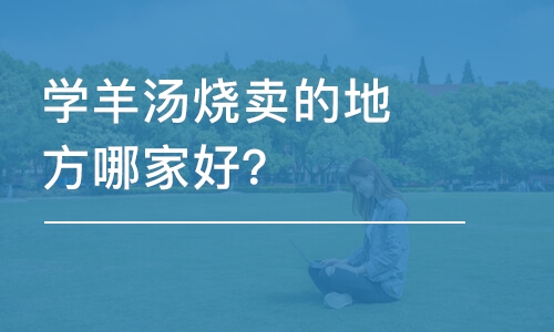 哈尔滨学羊汤烧卖的地方哪家好？