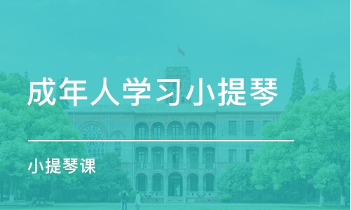 哈尔滨成年人学习小提琴