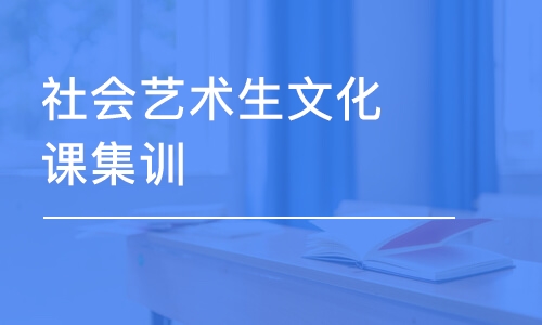 濟南社會藝術(shù)生文化課集訓(xùn)