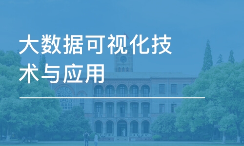 北京大数据可视化技术与应用