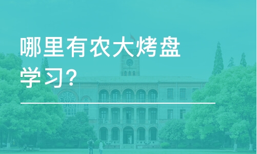 哈尔滨哪里有农大烤盘学习？