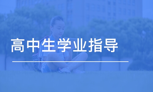 成都高中生学业指导