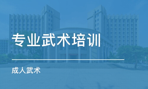 長沙專業(yè)武術培訓