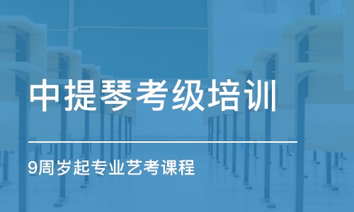 北京中提琴考级培训（9周岁起）专业艺考课程