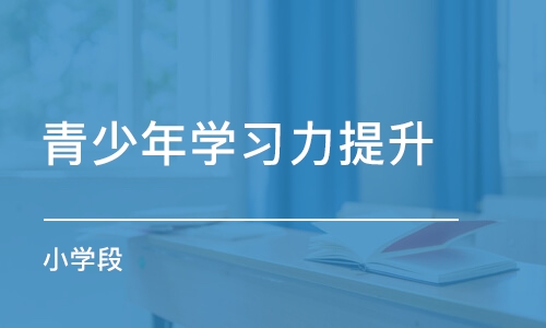 济南青少年学习力提升（小学段）