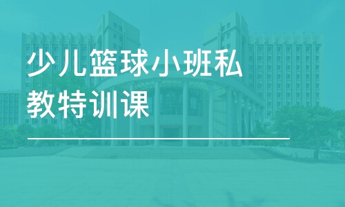 深圳少兒籃球小班私教特訓課