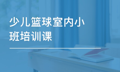 深圳少兒籃球室內(nèi)小班培訓(xùn)課