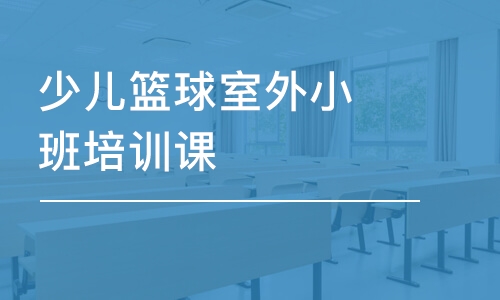 深圳少兒籃球室外小班培訓課