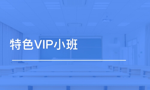 合肥特色VIP小班