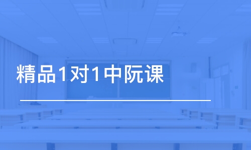 青岛精品1对1中阮课