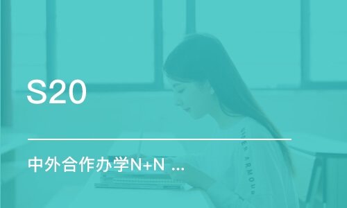 南京S20 中外合作办学（N+N） 直升项目