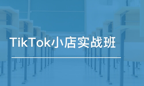 广州TikTok小店实战班