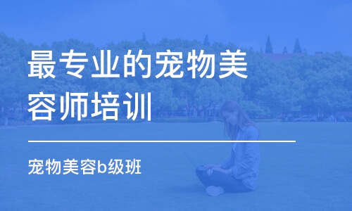 哈爾濱*專業(yè)的寵物美容師培訓機構(gòu)