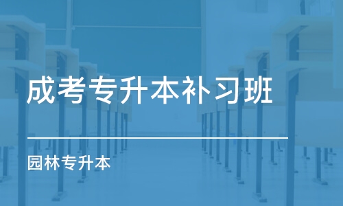 武漢成考專升本補(bǔ)習(xí)班