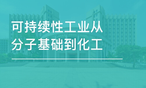 可持續(xù)性工業(yè)從分子基礎(chǔ)到化工過程應(yīng)用