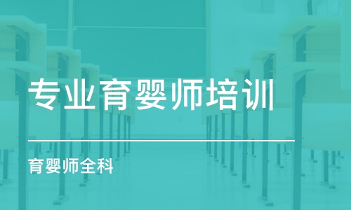 武漢專業(yè)育嬰師培訓機構