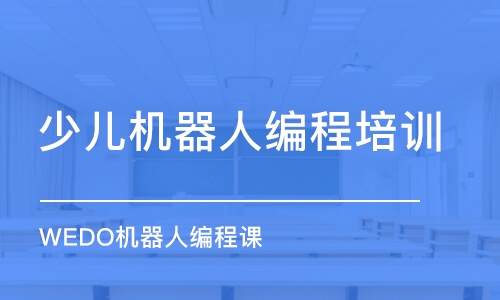 广州童程童美·WEDO机器人编程课