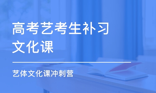 广州高考艺考生补习文化课