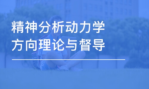 合肥精神分析动力学方向理论与督导一阶段