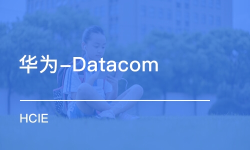 武汉华为-Datacom HCIE 