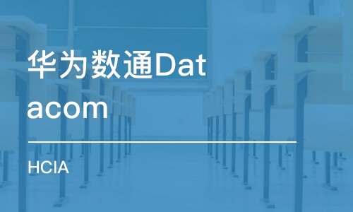 武汉华为数通Datacom HCIA