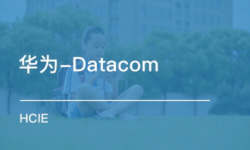 北京华为-Datacom HCIE 