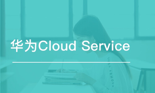 天津 华为Cloud Service